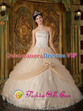 Castello de la Plana Spain Hand Made Flower and Appliques Decorate Strapless Bodice Champagne Ball Gown Quinceanera Dress For