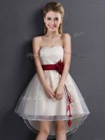 Suitable Sleeveless Lace and Hand Made Flower Lace Up Quinceanera Court of Honor Dress