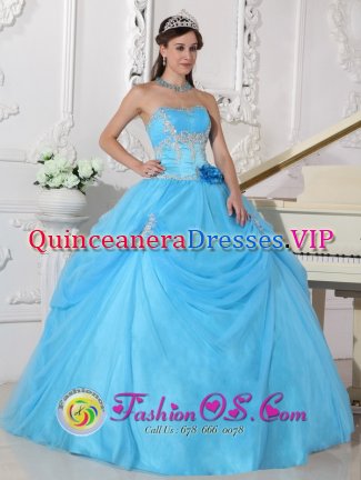 Fashionable Aqua Blue Quinceanera Dress With Strapless Neckline Flowers Decorate On Organza in Bryson City Carolina/NC