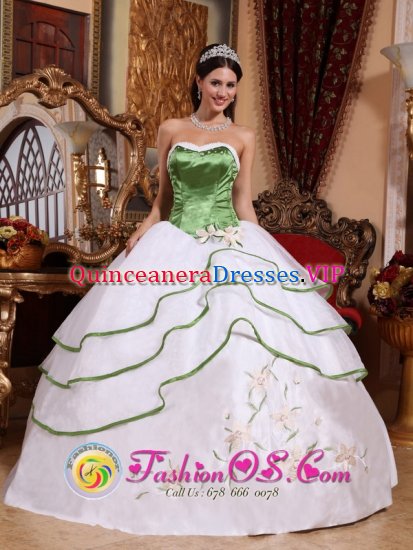 Council Bluffs Iowa/IA Spring Green and White For Stylish Quinceanera Dress Strapless Organza Embroidery - Click Image to Close