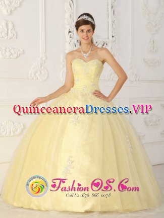 Albany TX Fashionable Light Yellow Sweet 16 Quinceanera Dress With Sweetheart Ruched Bodice Organza Appliques In New Yock City