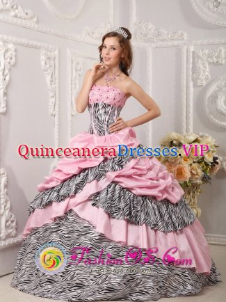 Valley California/CA Romantic Pink Quinceanera Dress Taffeta and Zebra For Sweet 16 With Pick-ups Beading Ball Gown