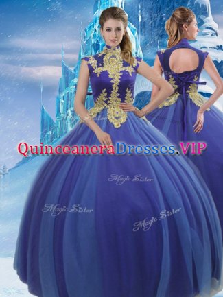 Appliques Sweet 16 Quinceanera Dress Royal Blue Lace Up Sleeveless Floor Length