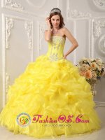 Yellow Beaded Appliques Decorate Bodice Hand Made Flower Pick-ups Ball Gown Quinceanera Dress For Sweet 16 In Bethlehem South Africa(SKU QDZY054y-6BIZ)