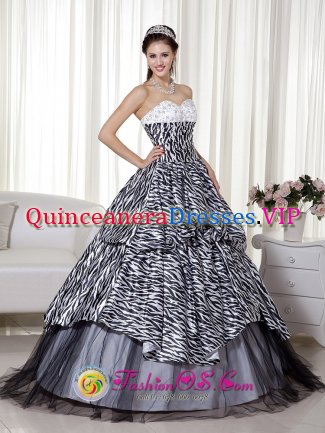 Paris France Wonderful Beading and Ruch Quinceanera Dress Luxurious A-line / Princess Sweetheart Floor-length Zebra and Organza