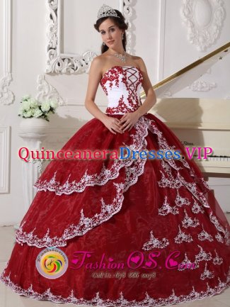 Minnetonka Minnesota/MN Appliques Decorate White and Wine Red Quinceanera Dress In Florida