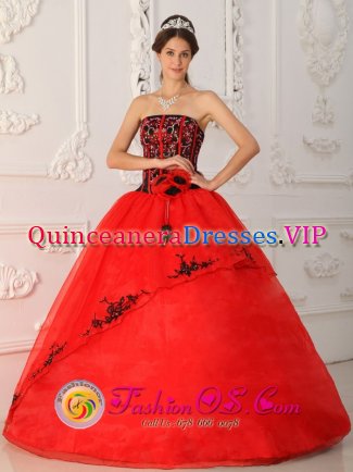 Apopka Florida/FL Red Beaded Decorate Bodice Quinceanera Dress For Strapless Brand New Style Satin and Organza Ball Gown