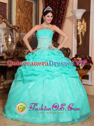 Titusville Florida/FL Stylish Turquoise Organza Quinceanera Dress With Strapless Appliques And Ruffles Decorate