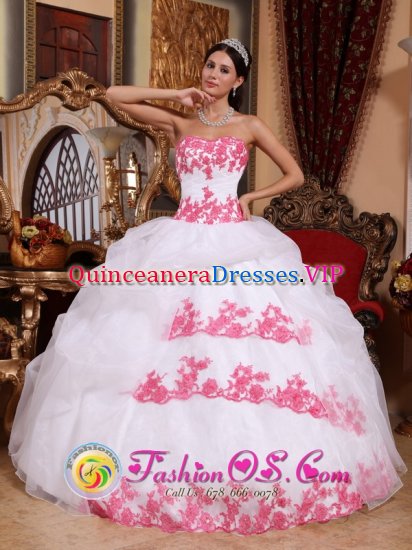 Gardiner Montana/MT Appliques Organza Wholesale Sweet Quinceanera Dress - Click Image to Close